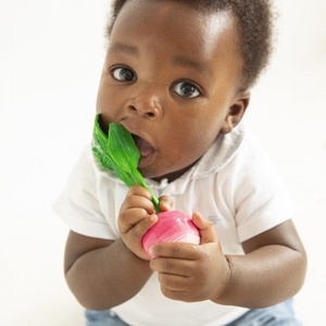 Zahnungshilfe RAMONA THE RADISH Oli & Carol